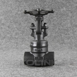 โฮปเน็ตผสมผสานเหล็กกลมวาล์ววงล้อมือ NPT Threaded Class 800-2500