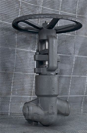PSB โกลสแตนเลสกลอบ วาล์วความดันสูง CL2500 วาล์วหยุด A105 F11 F22
